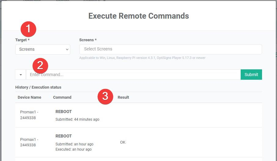 three sections of execute remote commands
