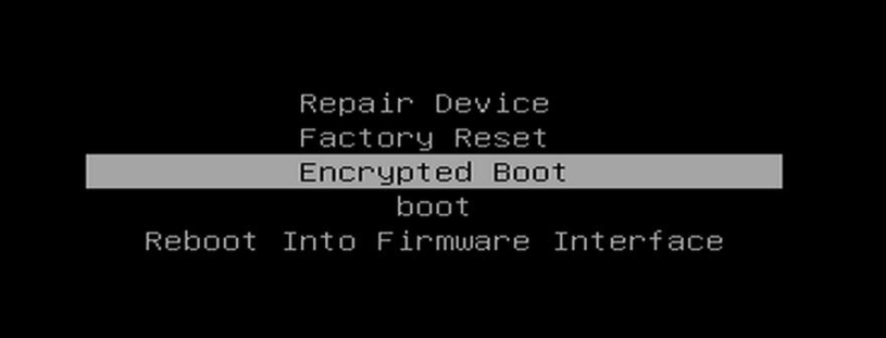 restore mode w encryption boot option