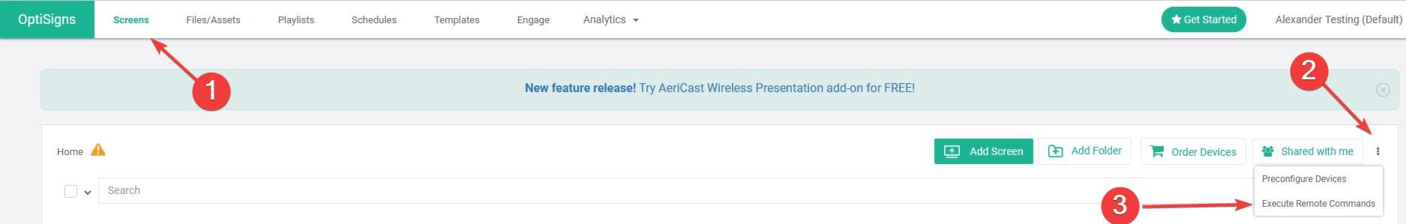more options execute remote commands