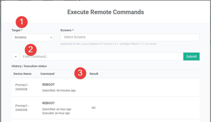execute remote commands steps