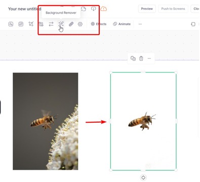 Designer screenshot showing how to use background remover function and image of bee on gray background to a bee no background