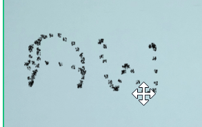 drawn elements move demonstation