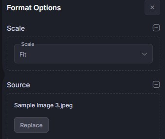 overlay image format options