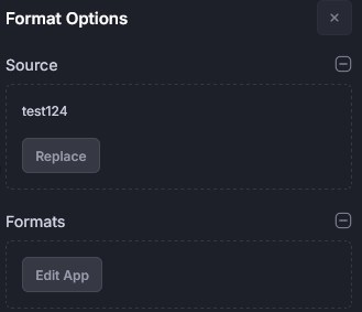 apps widget format options