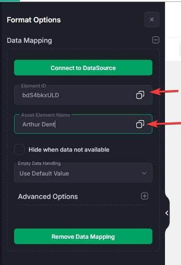 data mapping element id and asset element name
