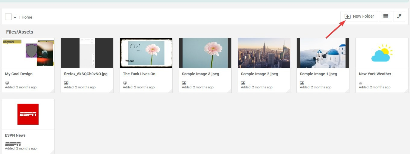 add folder in files/assets area