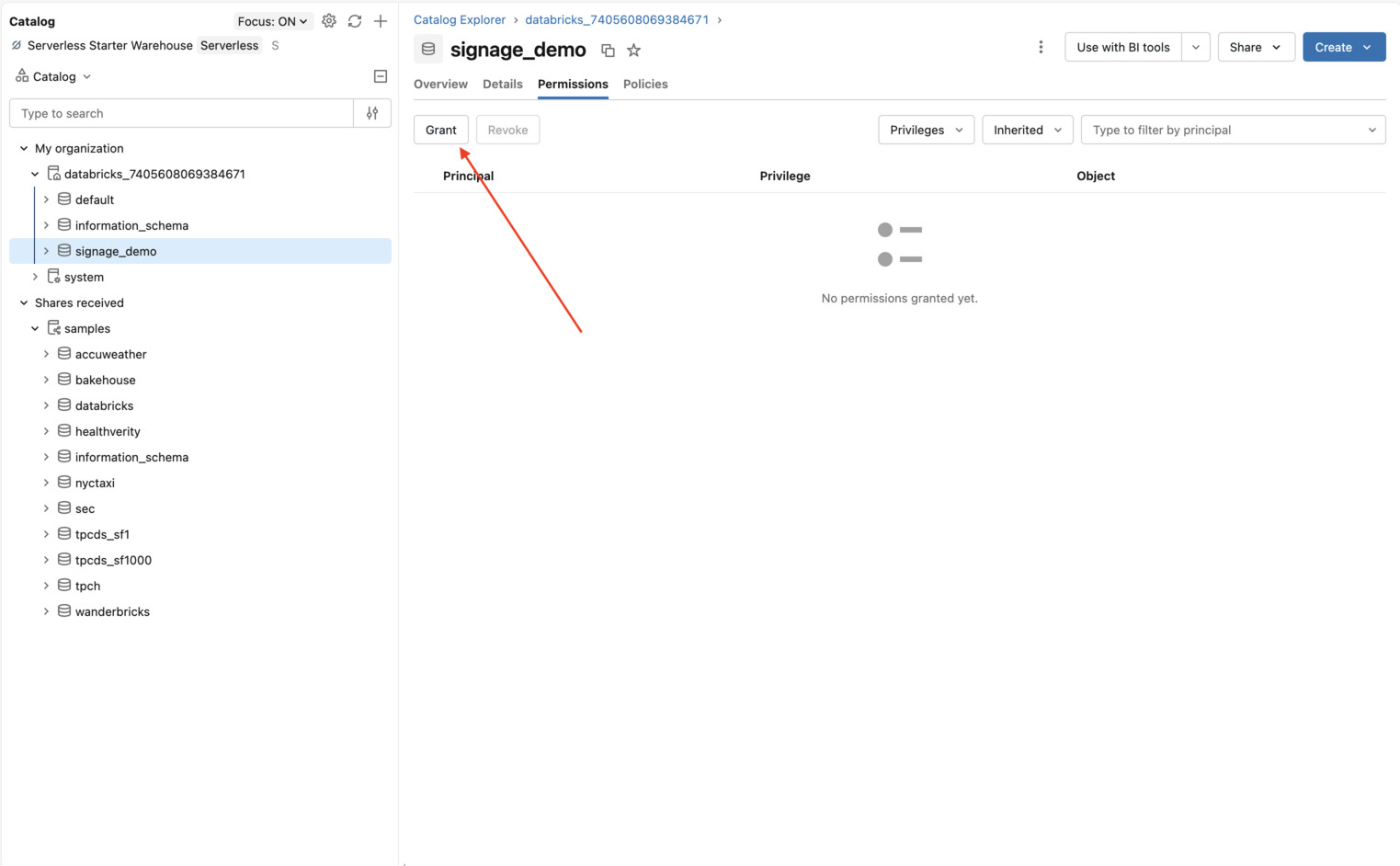 Databricks Catalog Explorer on the signage_demo Permissions tab with Grant highlighted