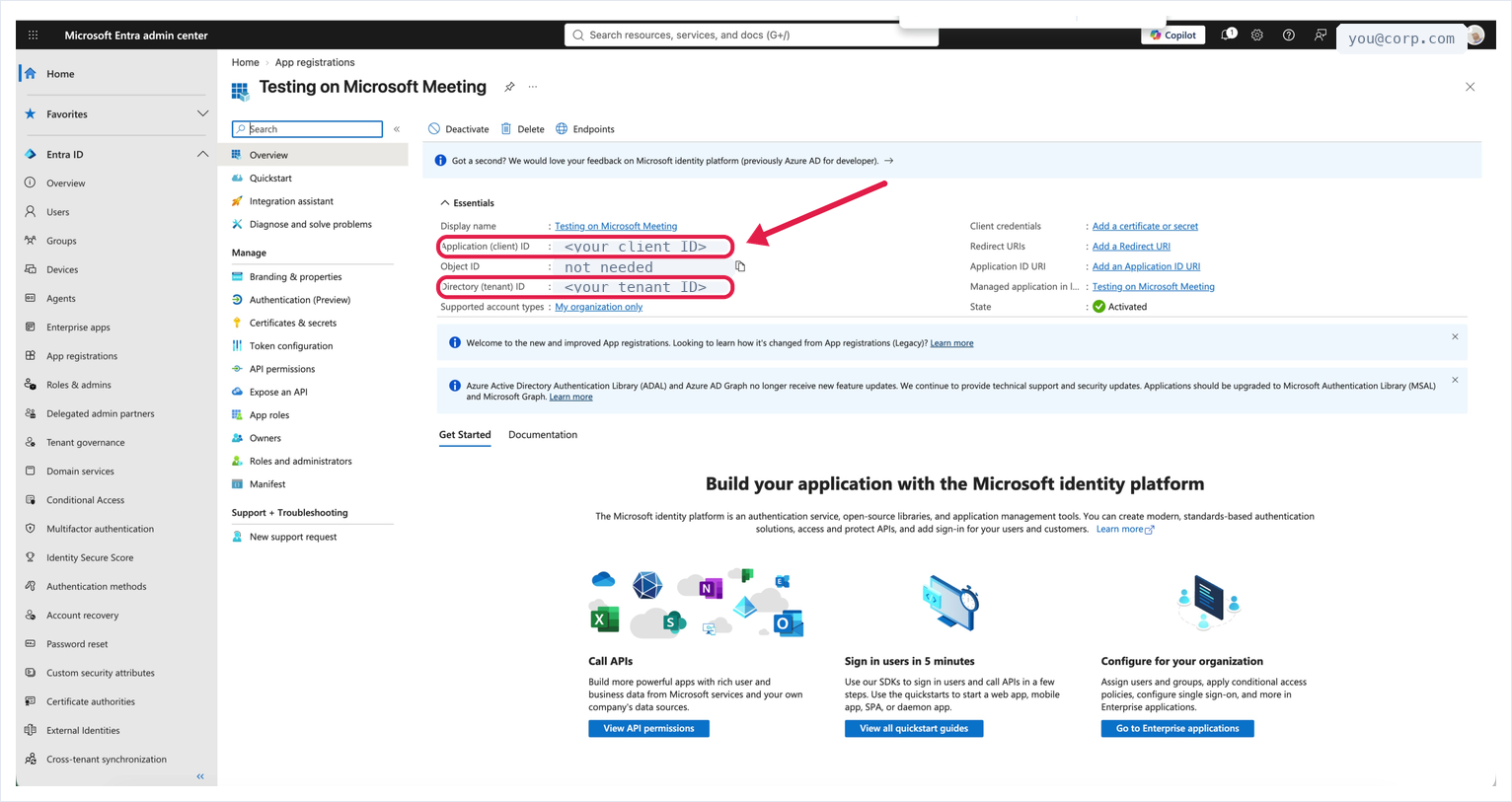 The app Overview page with Application (client) ID and Directory (tenant) ID highlighted