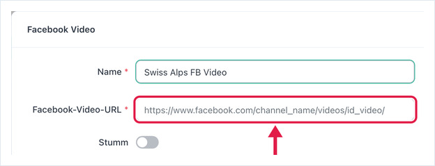 Facebook Video-Einstellungen: Name, Facebook-Video-URL, Stumm