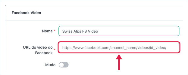 Configurações do Facebook Video: Nome, URL do vídeo do Facebook, Mudo