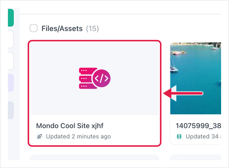 Files/Assets grid with the new Hosted Website asset highlighted at the top of the list