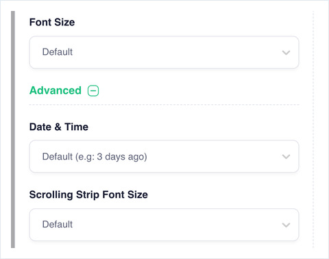 Advanced section expanded, showing Date and Time and Scrolling Strip Font Size