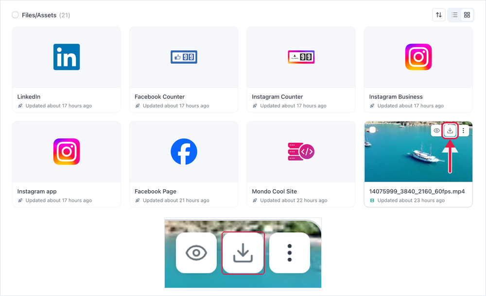 photo of asset and download button in account