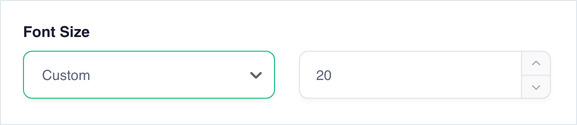 Font Size set to Custom with a number box for the size beside the dropdown
