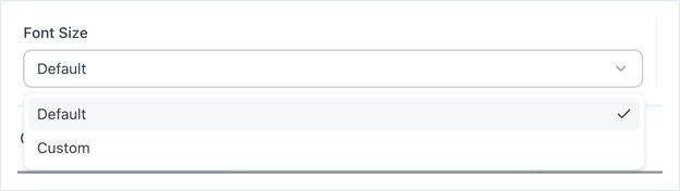 The Font Size dropdown open, showing the Default and Custom options