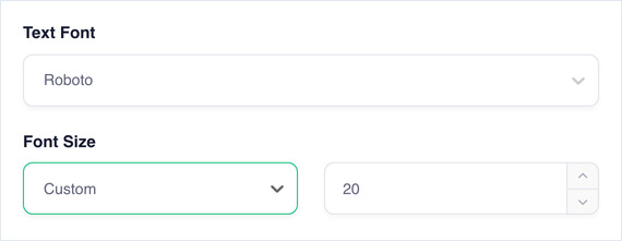 Font Size set to Custom, showing the size box beside the dropdown