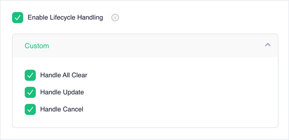 Enable Lifecycle Handling ticked, showing Handle All Clear, Update and Cancel