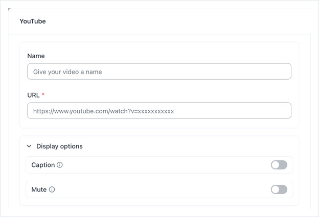 Display options section open, showing the Caption and Mute toggles, both off