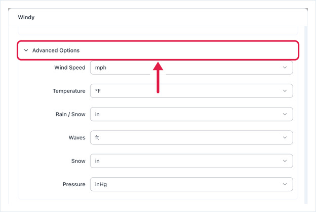 Advanced Options expanded: Wind Speed, Temperature, Rain / Snow, Waves, Snow and Pressure units