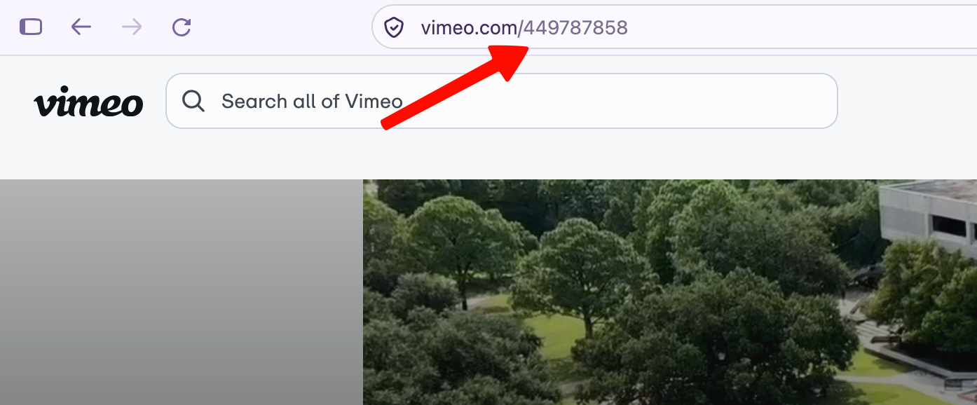 vimeo url example