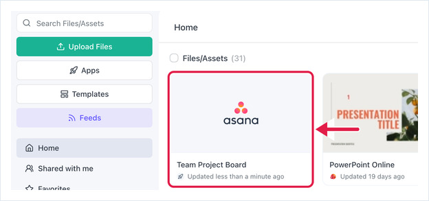 Files/Assets list showing the new Team Project Board Asana asset