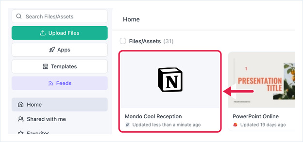New Notion asset shown in Files/Assets