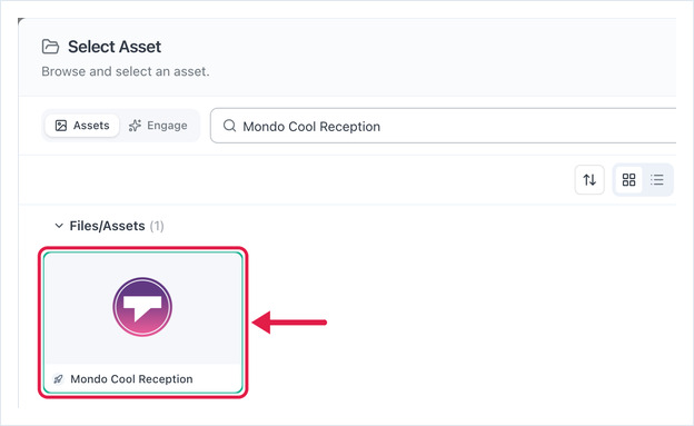 Select Asset dialog with the Taggbox Display asset selected