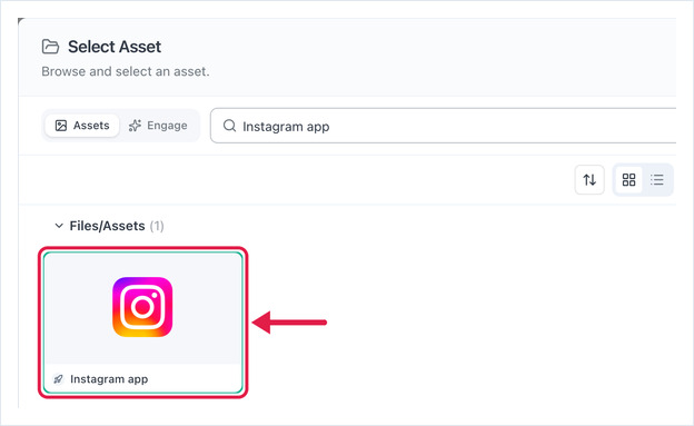 Select Asset dialog with the Instagram asset selected